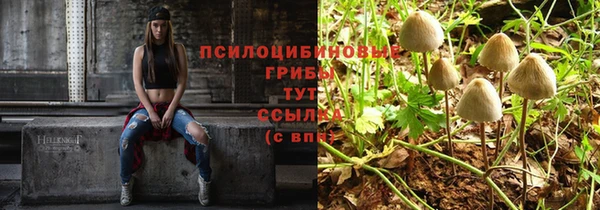 стаф Лабытнанги