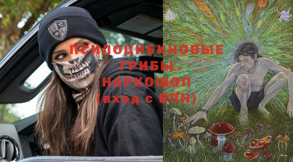 гашик Лиски