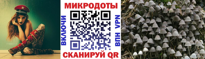 Галлюциногенные грибы мицелий  даркнет клад  Сосновый Бор  цены  