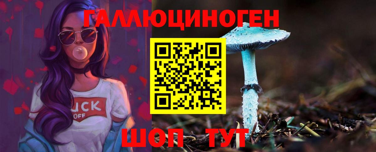 Псилоцибиновые грибы Psilocybe  Сосновый Бор  Псилоцибиновые грибы MAGIC MUSHROOMS 